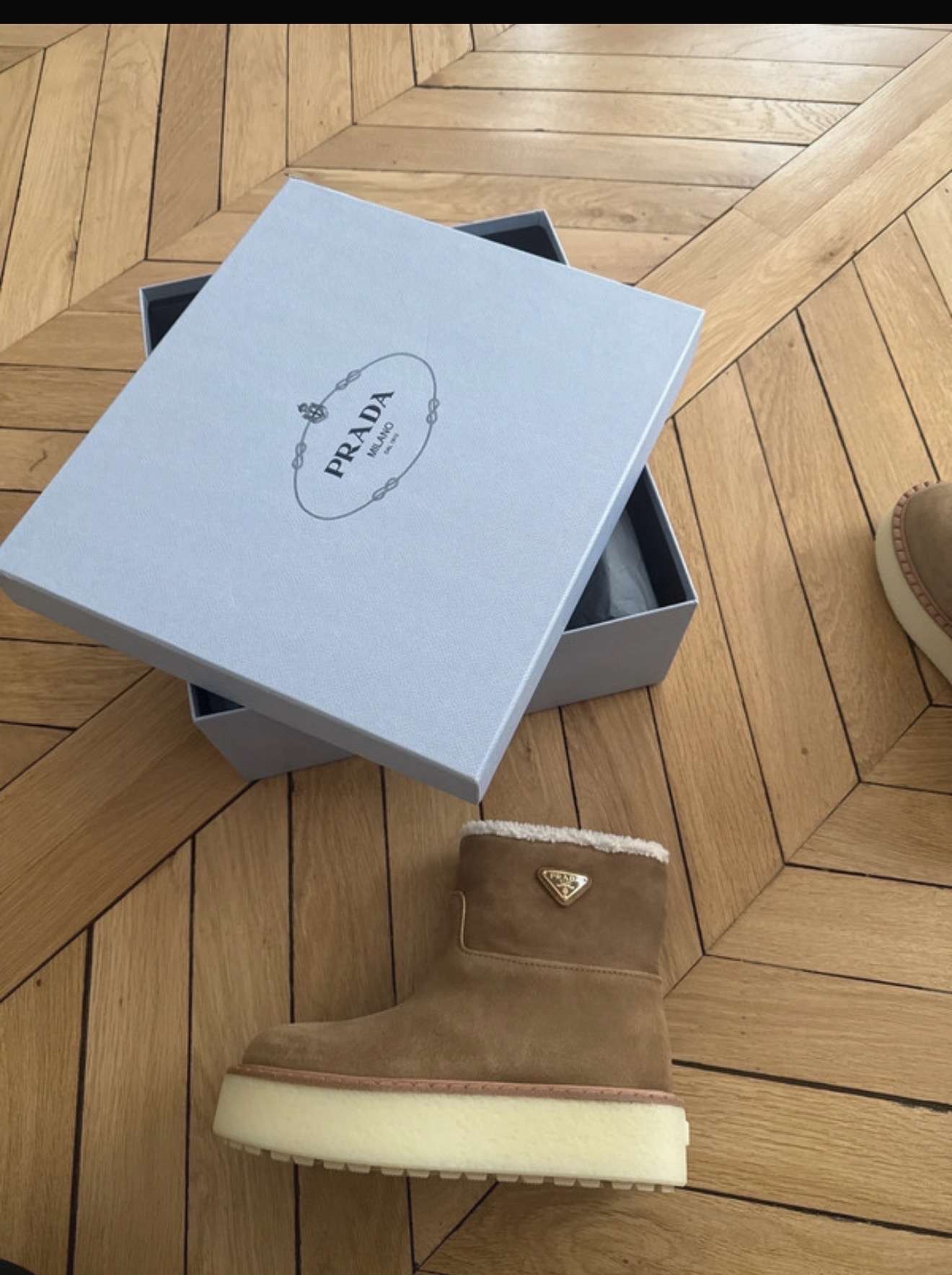Prada snehule
