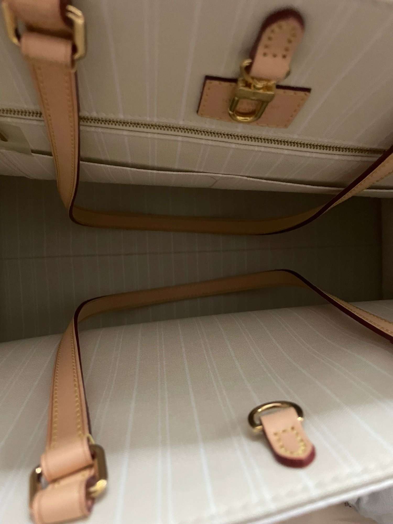 Louis Vuitton onthego