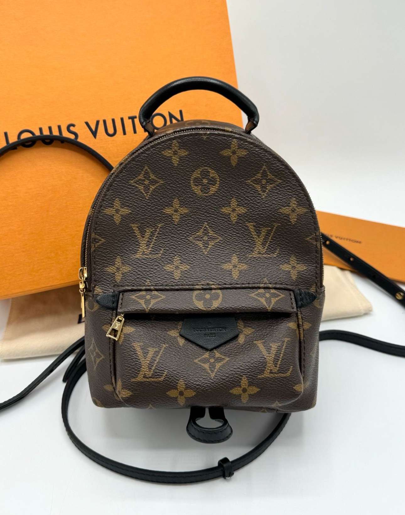 Louis Vuitton Palm Spring mini