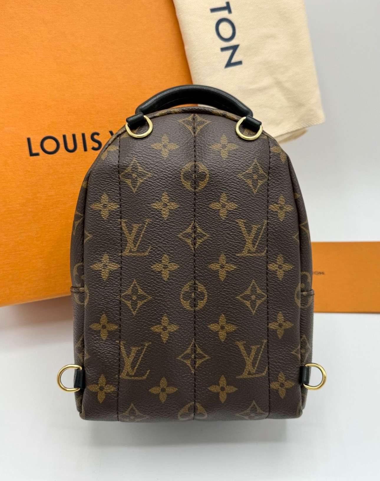 Louis Vuitton Palm Spring mini