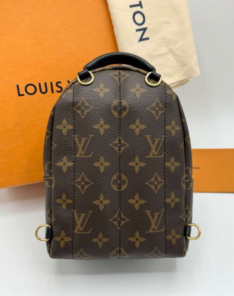 Louis Vuitton Palm Spring mini