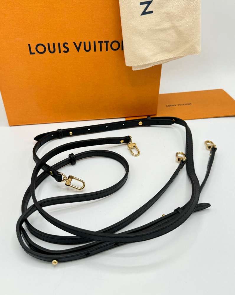 Louis Vuitton Palm Spring mini