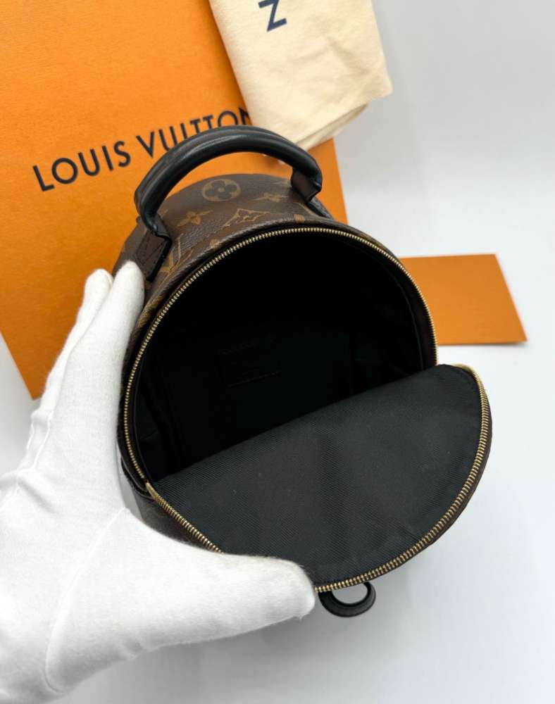 Louis Vuitton Palm Spring mini