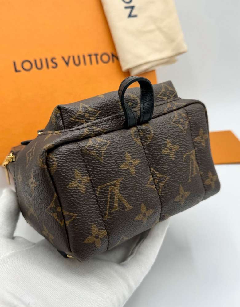 Louis Vuitton Palm Spring mini