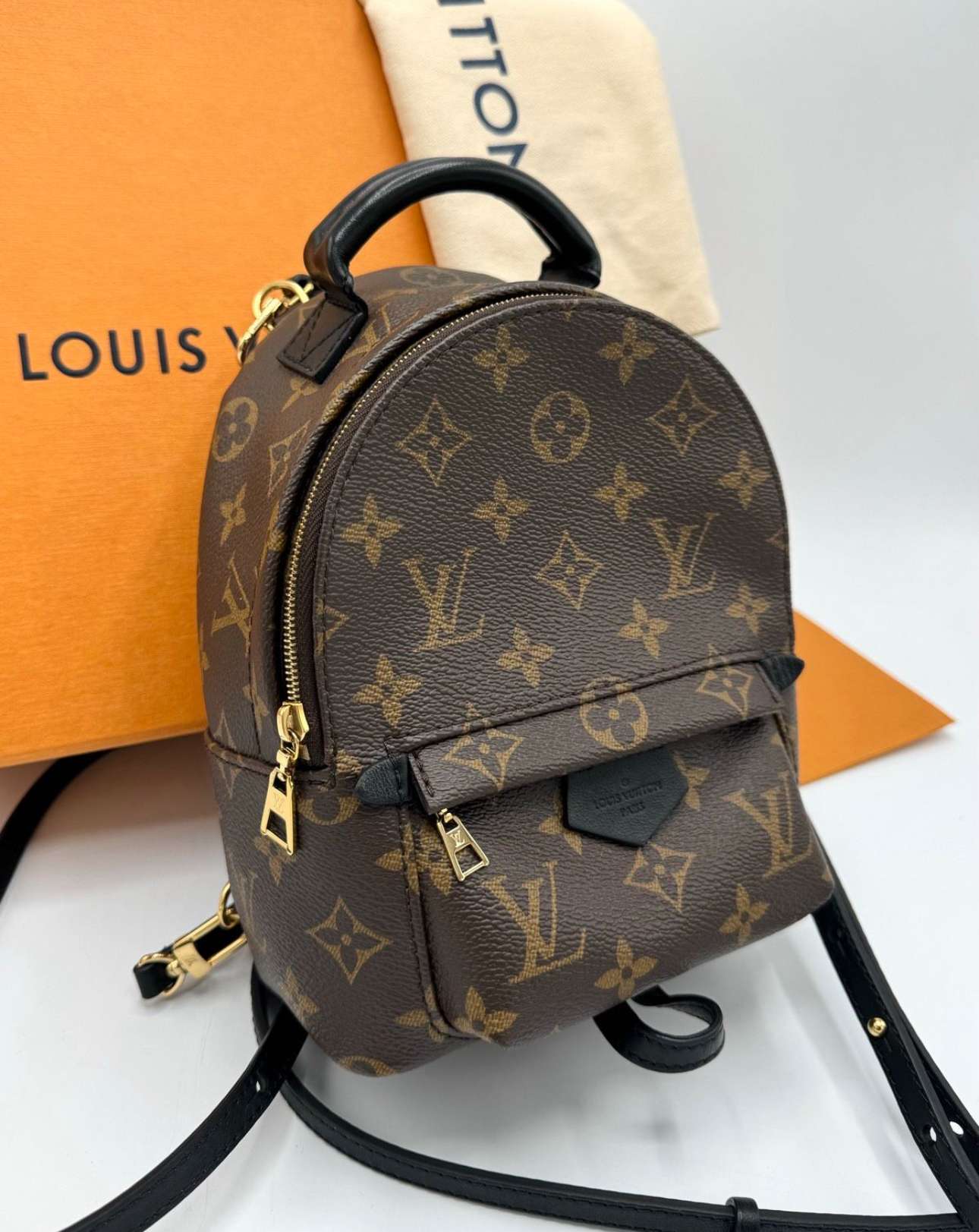 Louis Vuitton Palm Spring mini