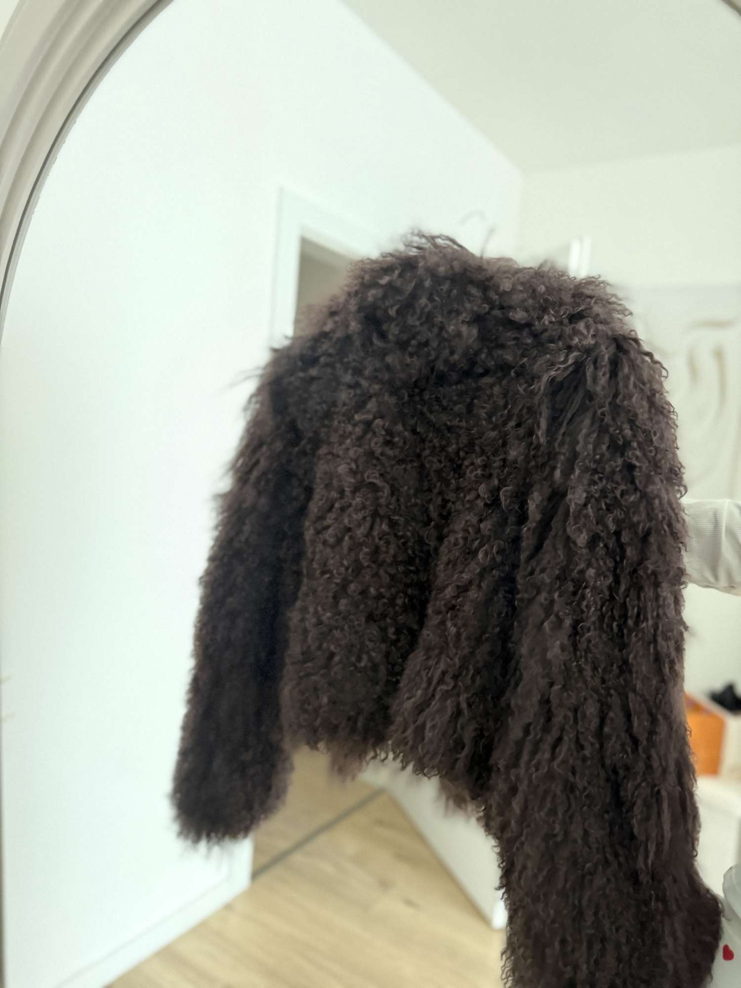 Kožuch mongolská ovca