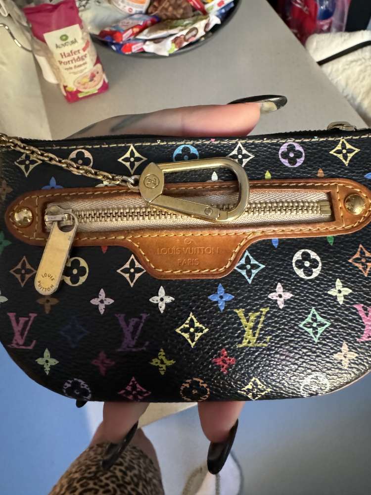 Louis Vuitton multicolor