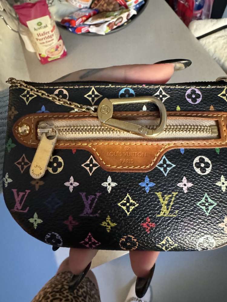 Louis Vuitton multicolor
