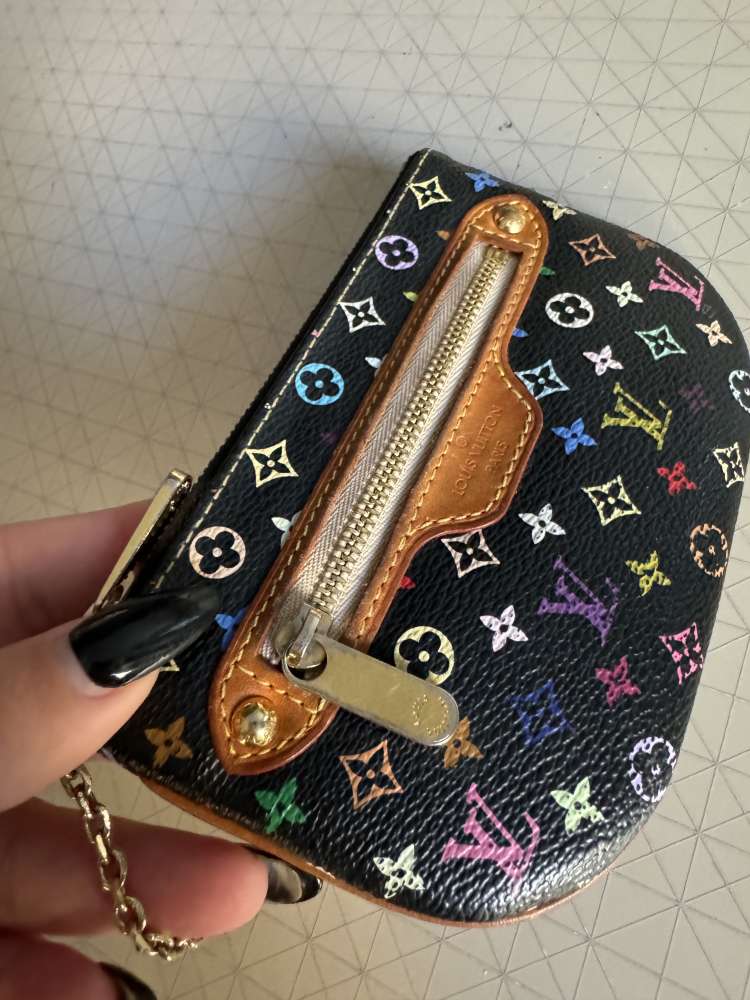 Louis Vuitton multicolor