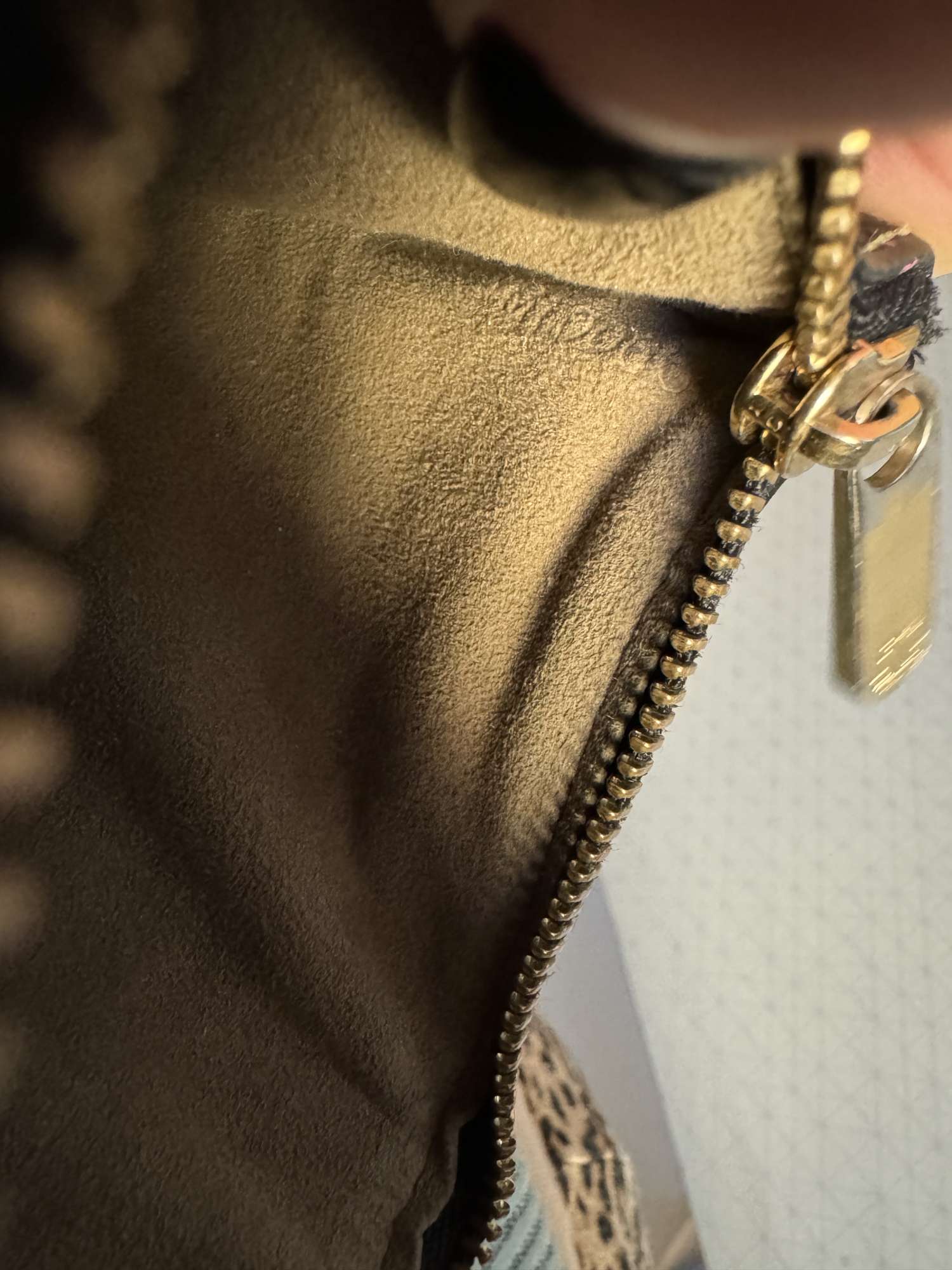 Louis Vuitton multicolor