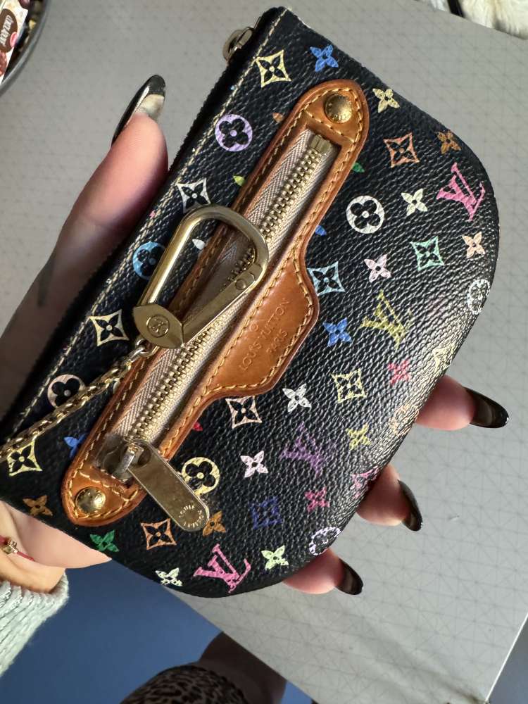 Louis Vuitton multicolor