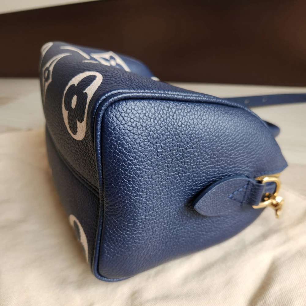 Louis Vuitton Speedy 20