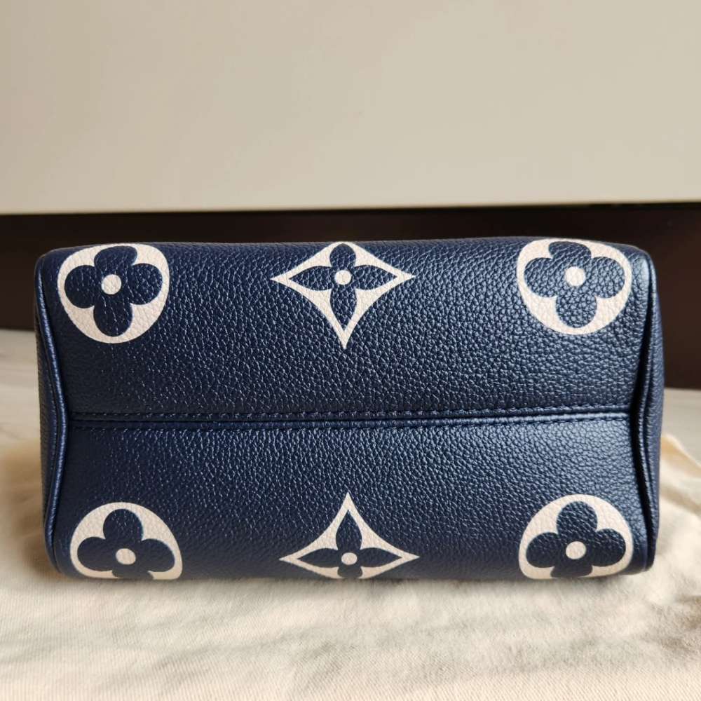 Louis Vuitton Speedy 20