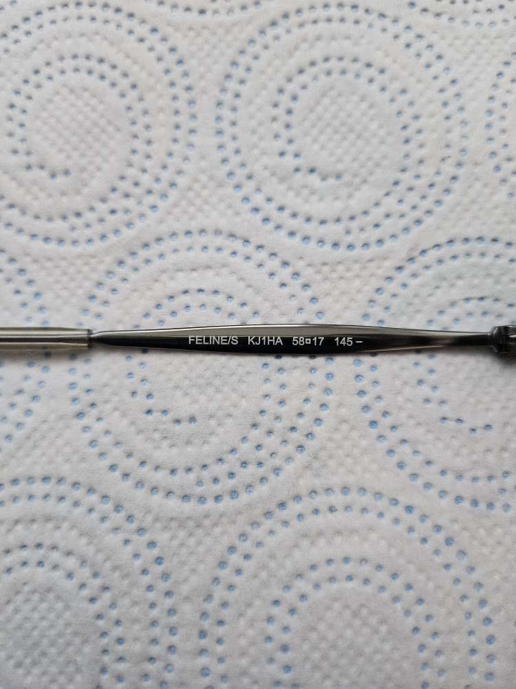 Jimmy Choo slnečné okuliare model FELINE.