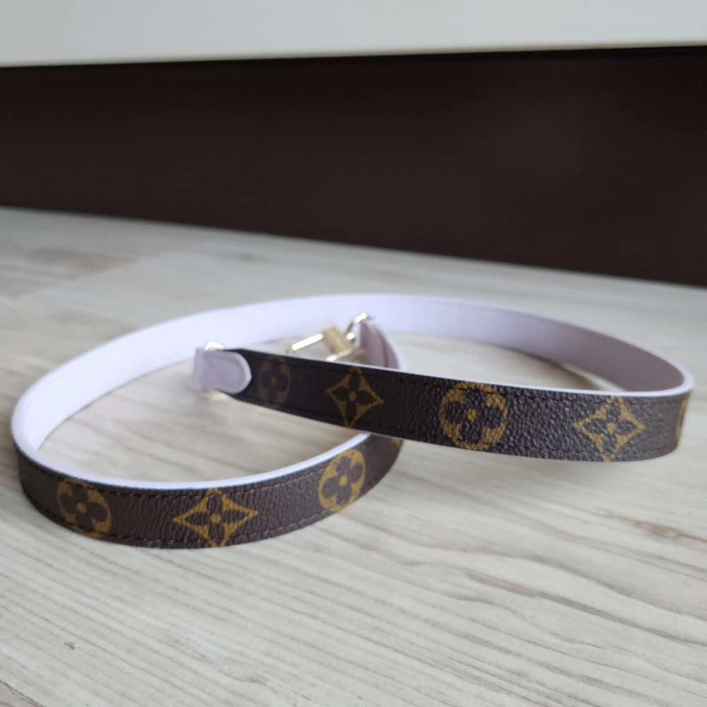 Louis Vuitton Popruh