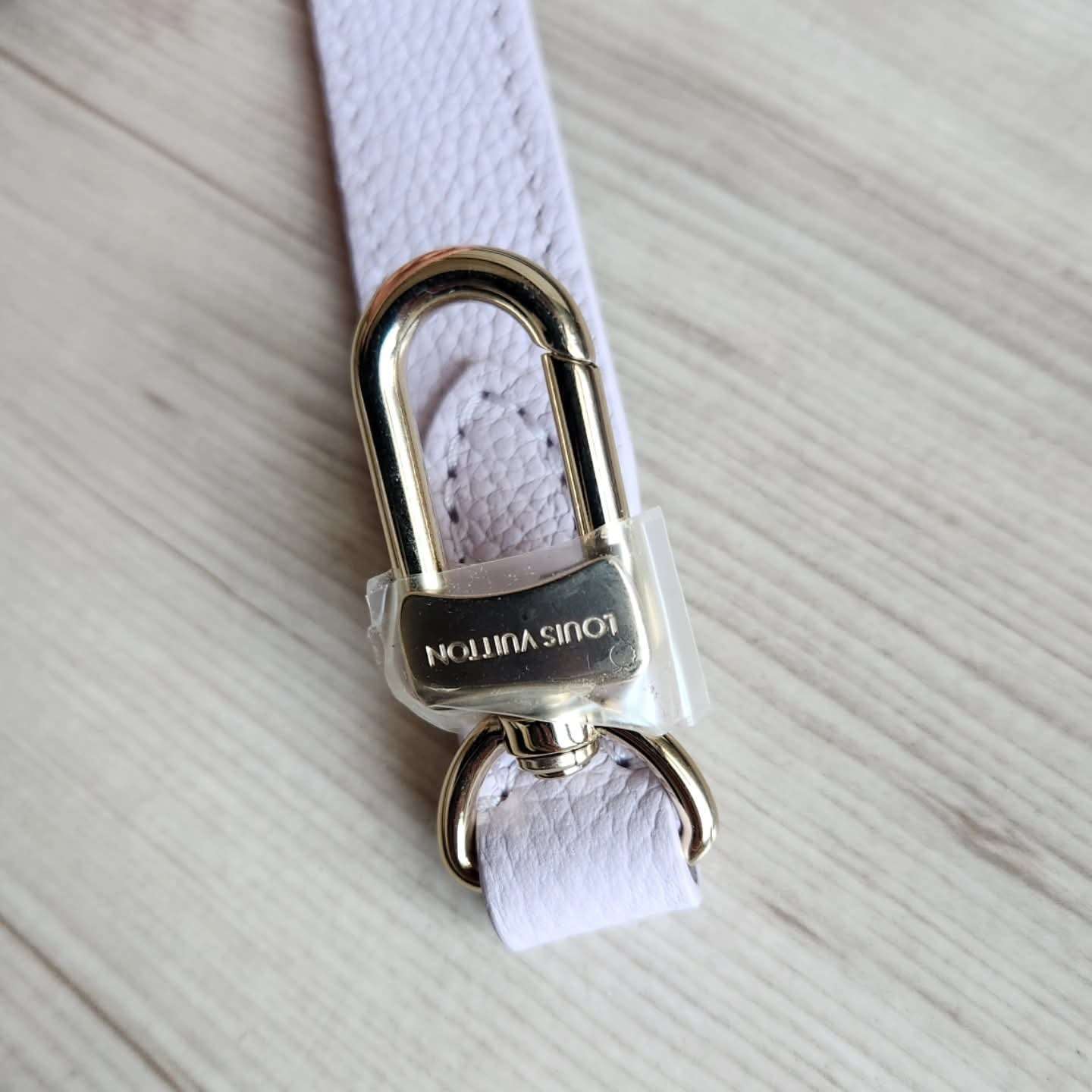 Louis Vuitton Popruh