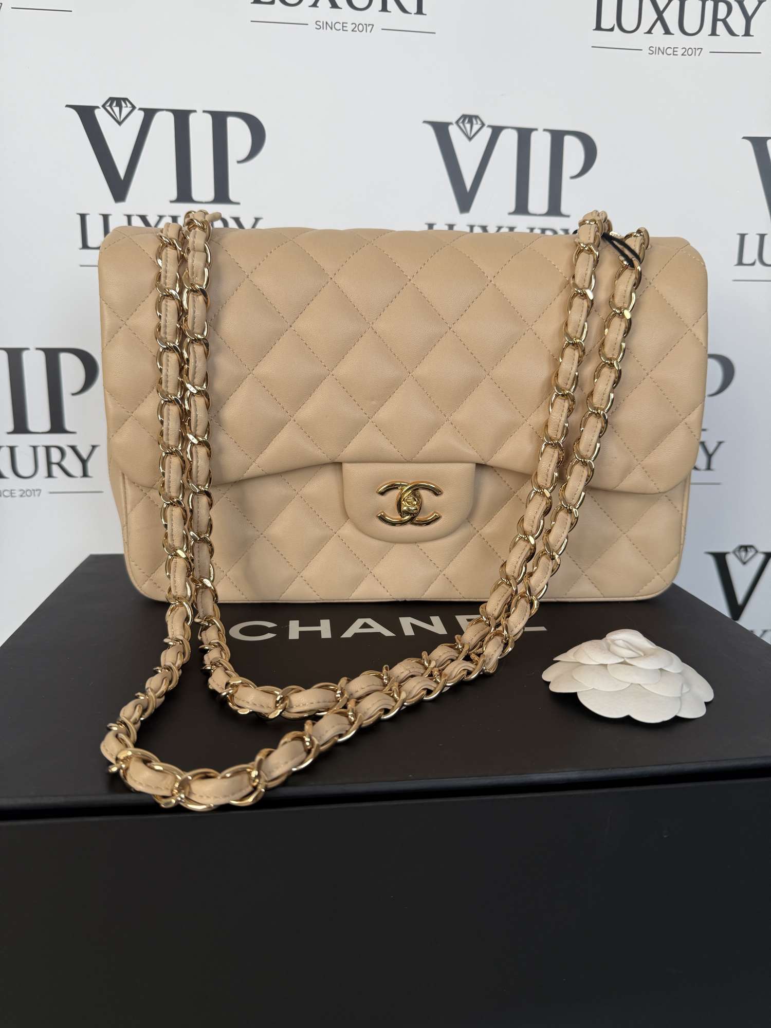 Chanel Jumbo double flap