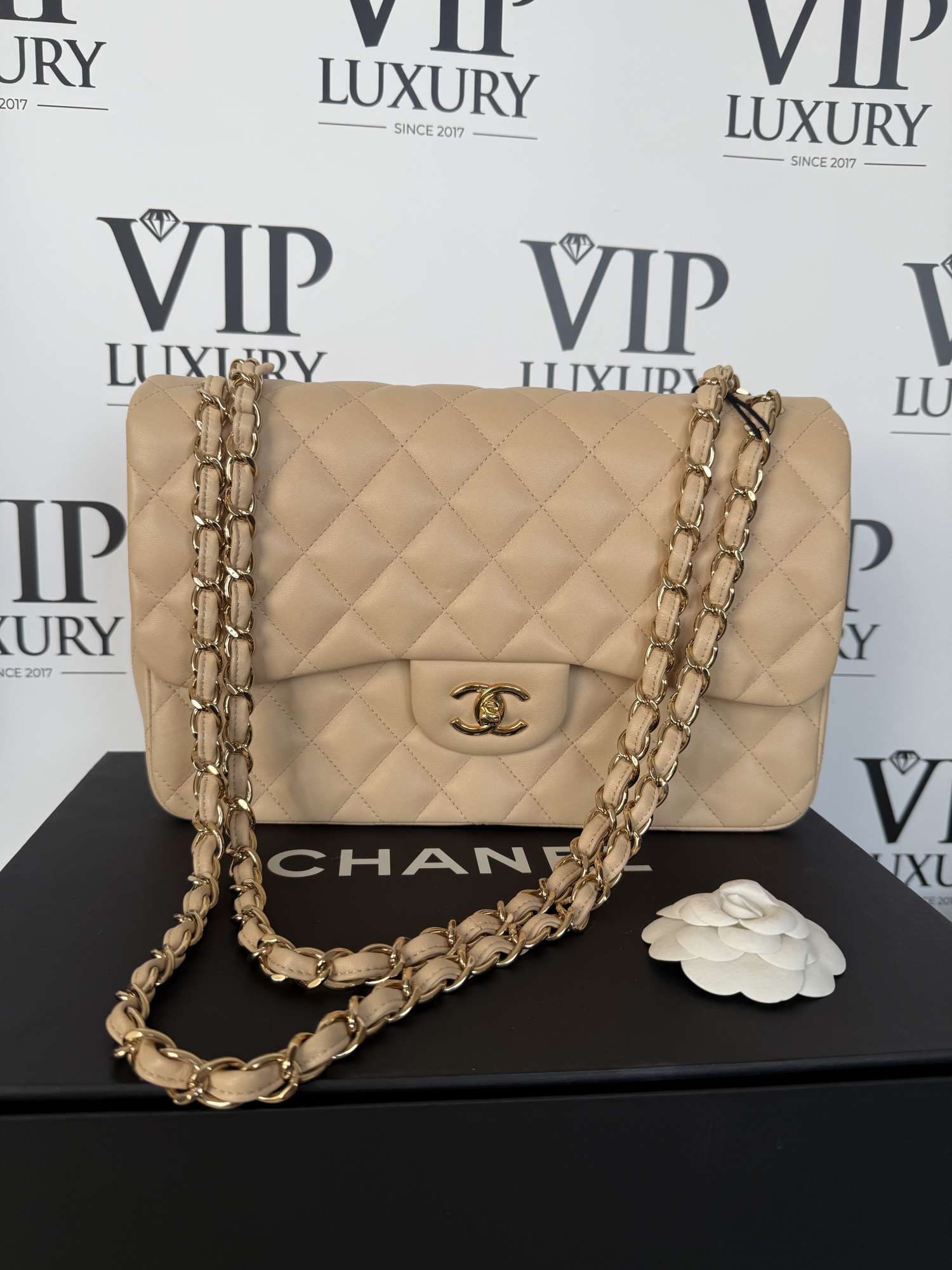 Chanel Jumbo double flap