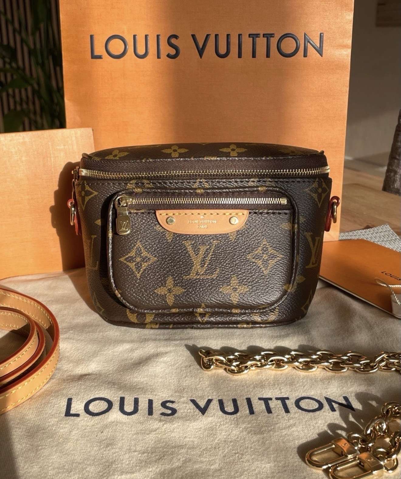 Louis Vuitton bumbag