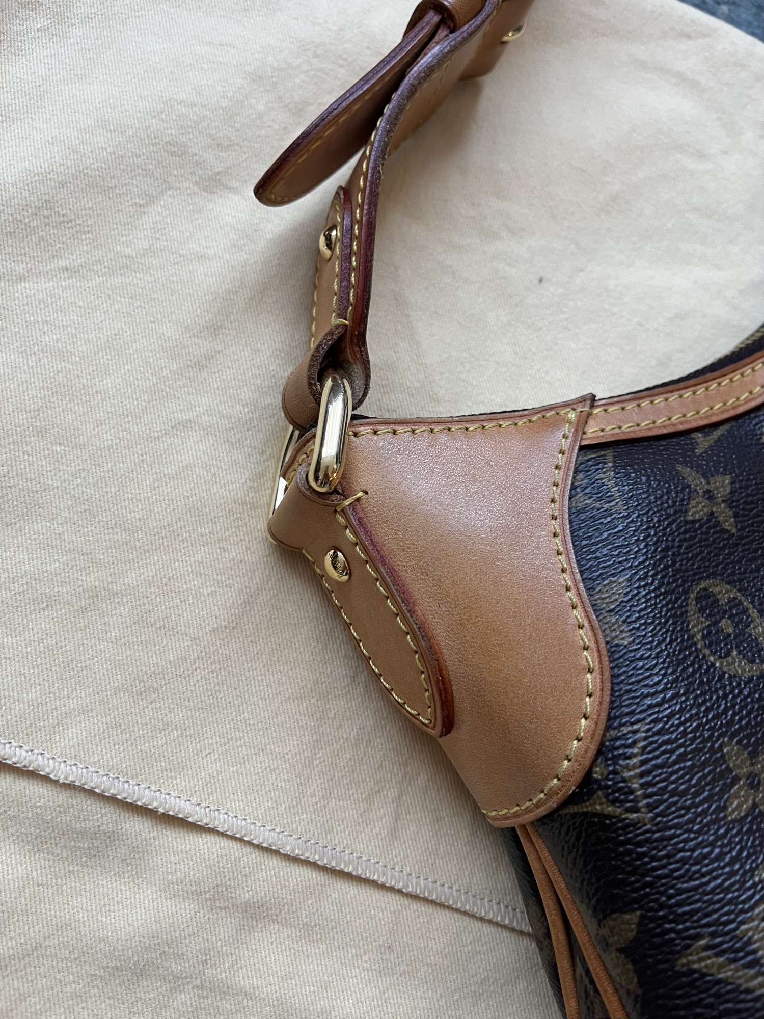 Kabelka Thames GM Louis Vuitton