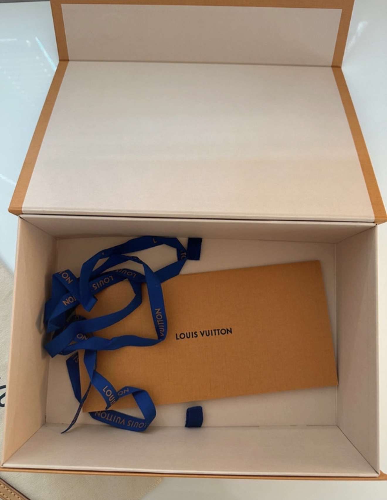 Louis Vuitton nano speedy