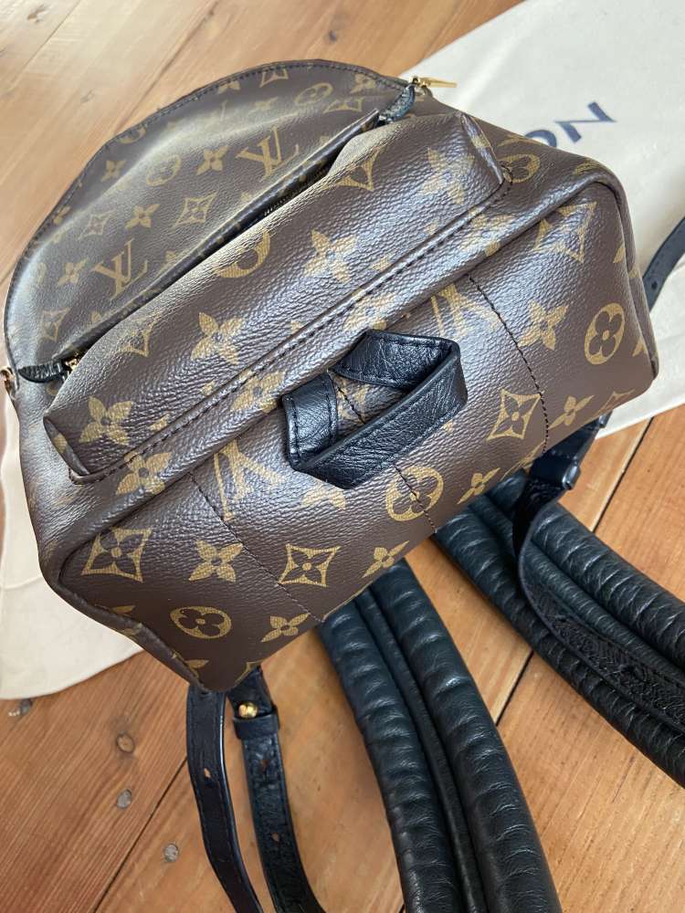 Louis Vuitton Palm Springs PM