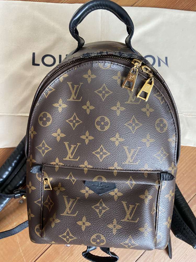 Louis Vuitton Palm Springs PM
