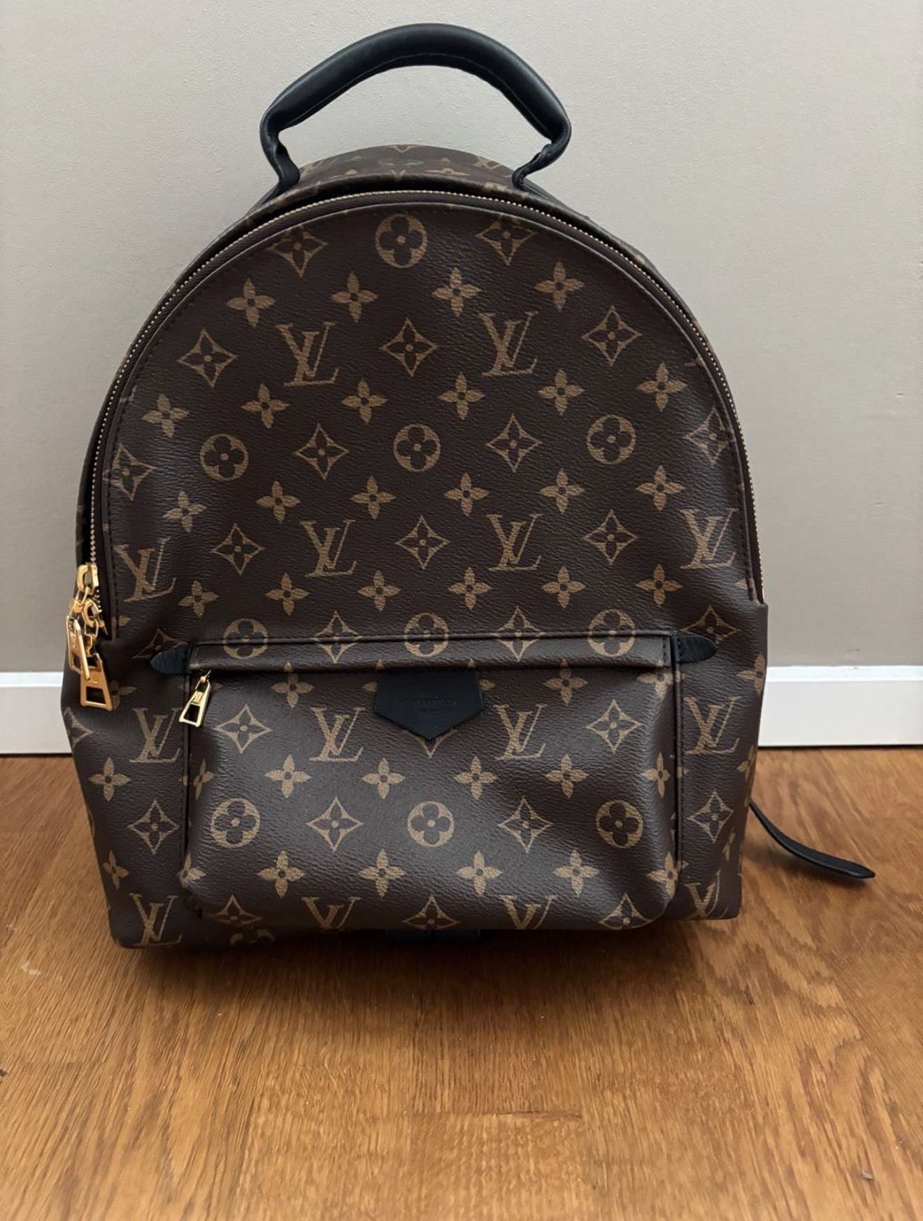 Louis Vuitton Palm spring MM