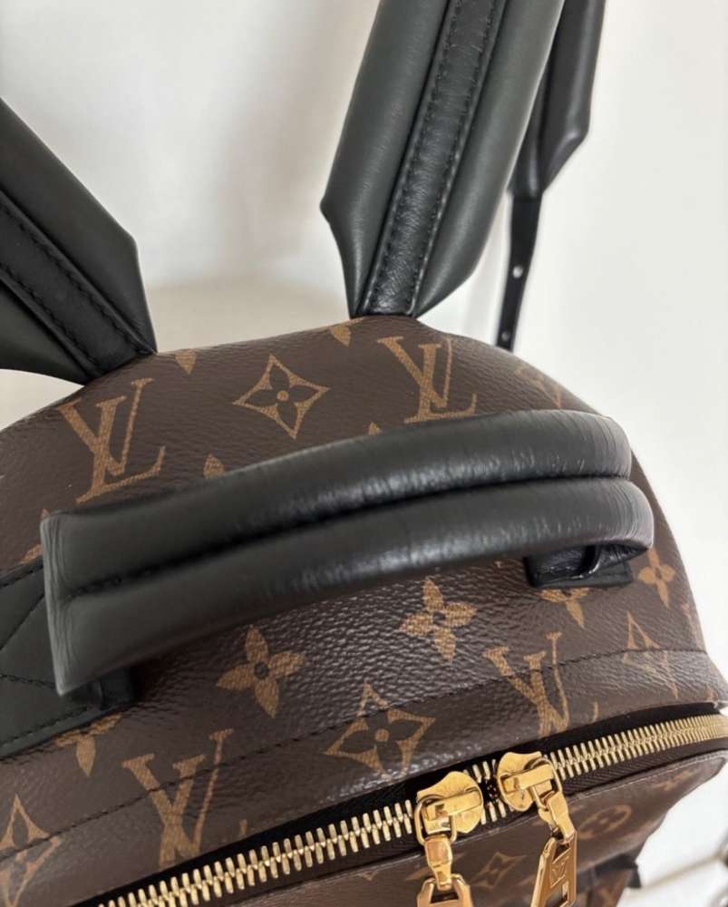 Louis Vuitton Palm spring MM
