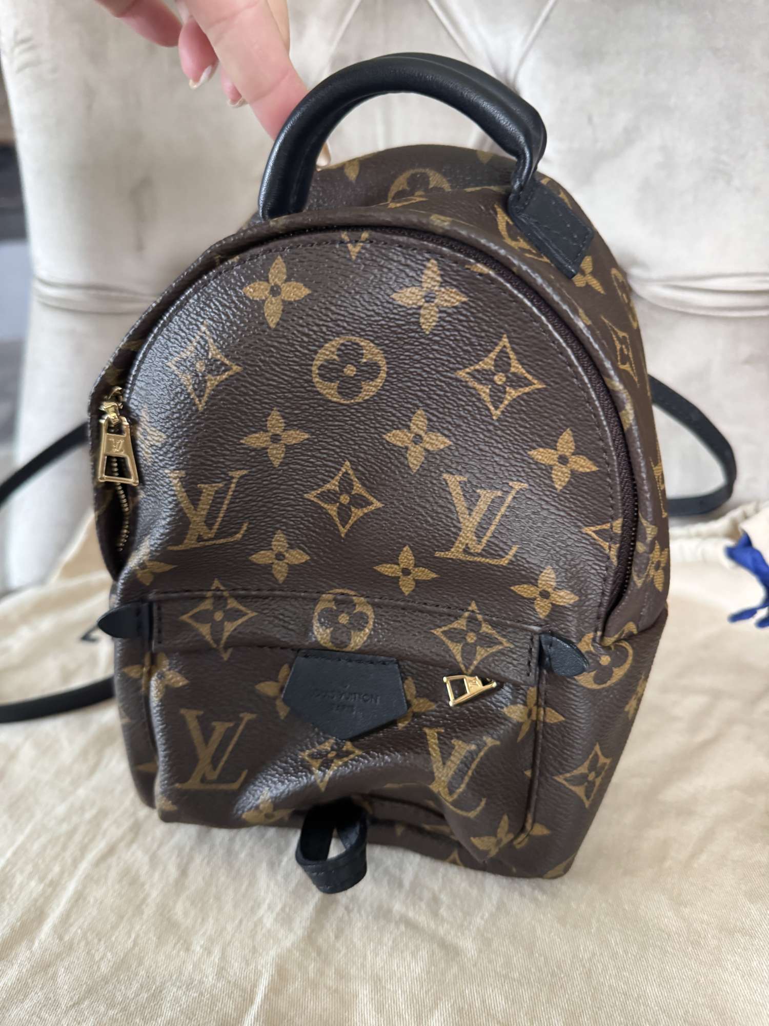 Louis Vuitton palmsprings mini
