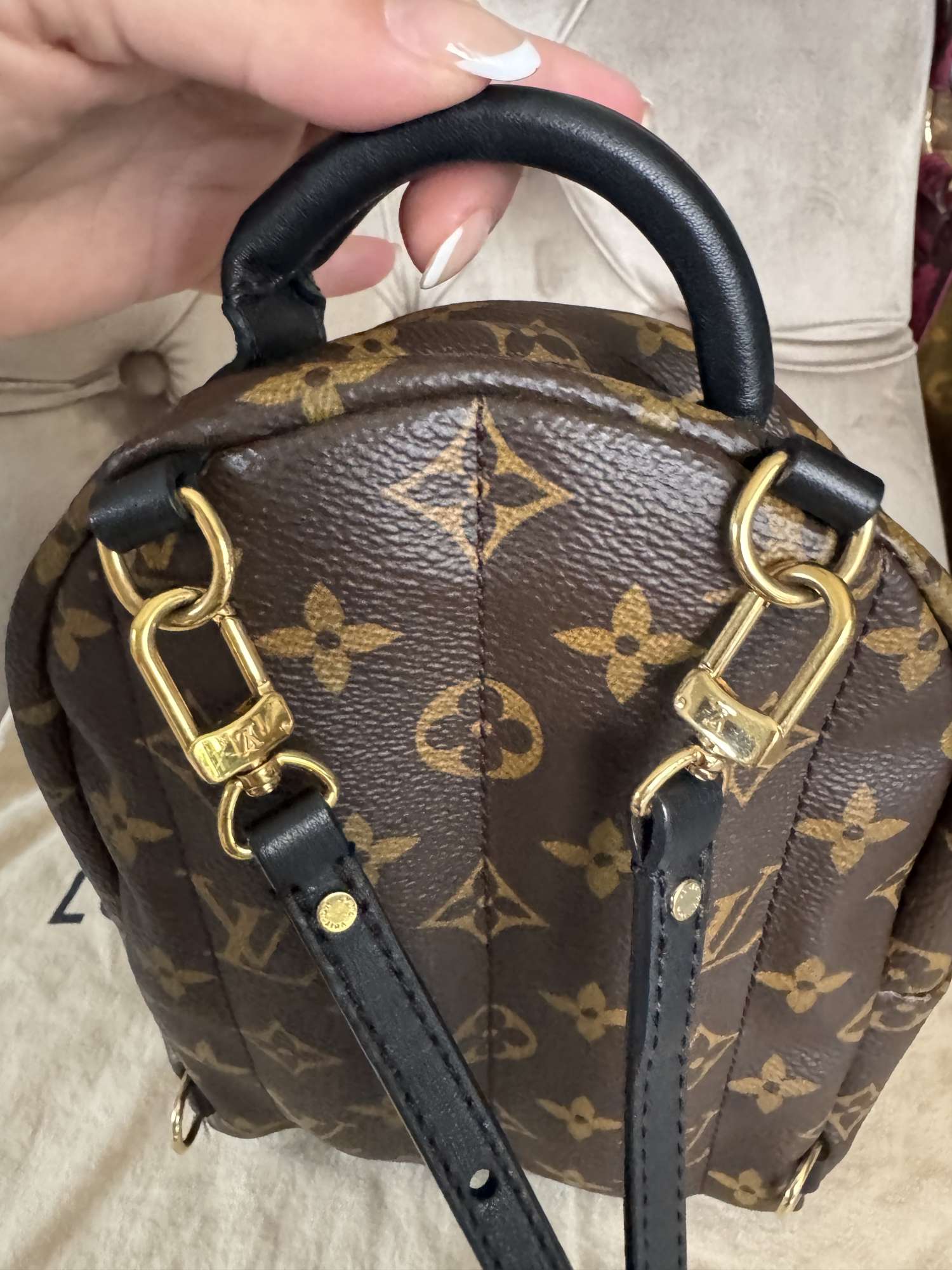 Louis Vuitton palmsprings mini