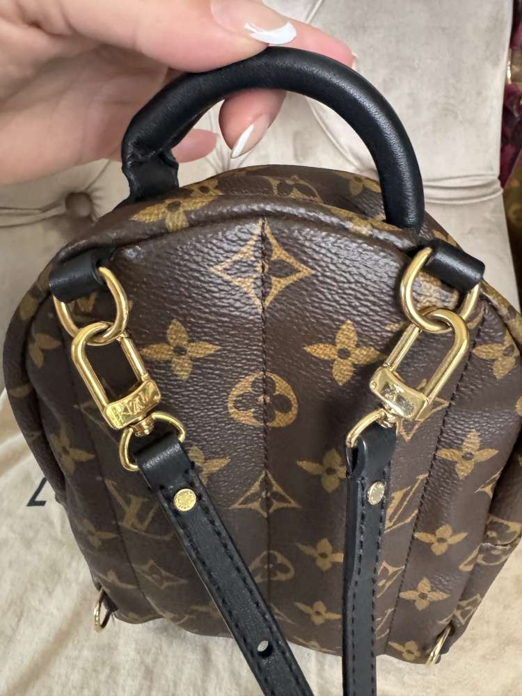 Louis Vuitton palmsprings mini