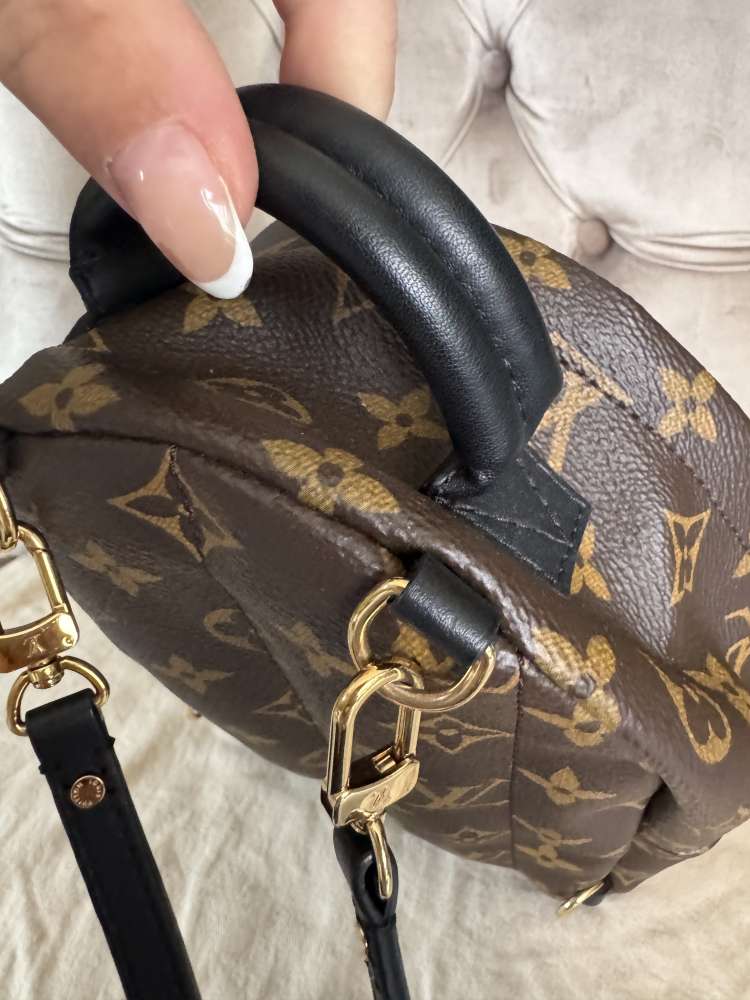 Louis Vuitton palmsprings mini