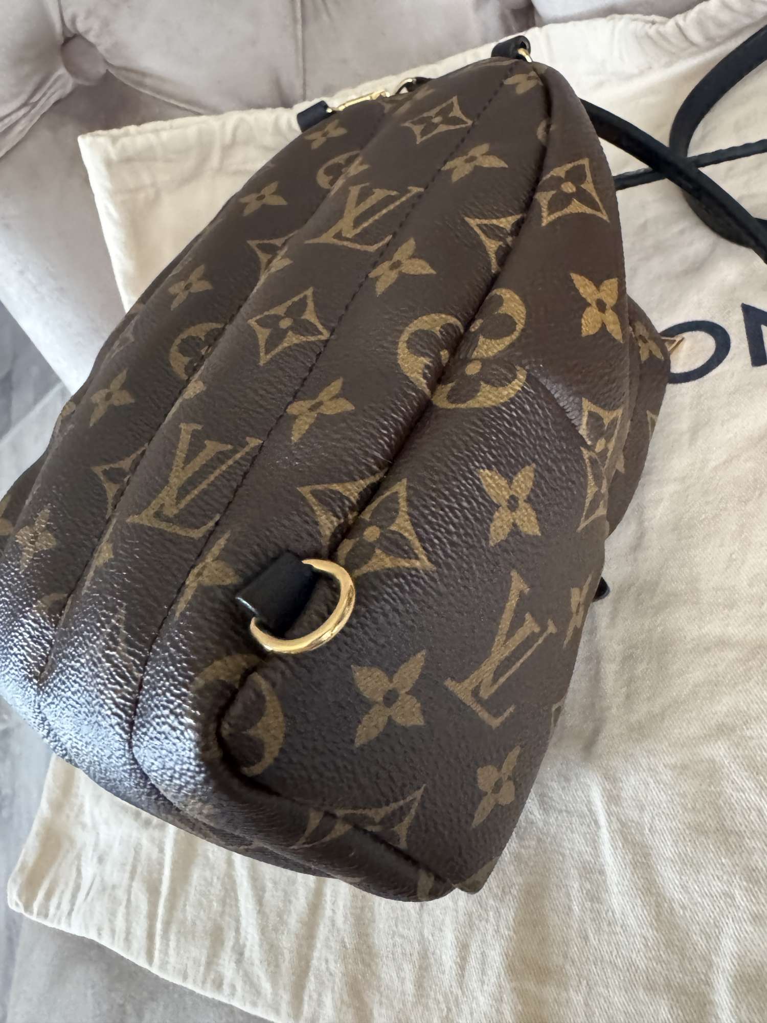 Louis Vuitton palmsprings mini