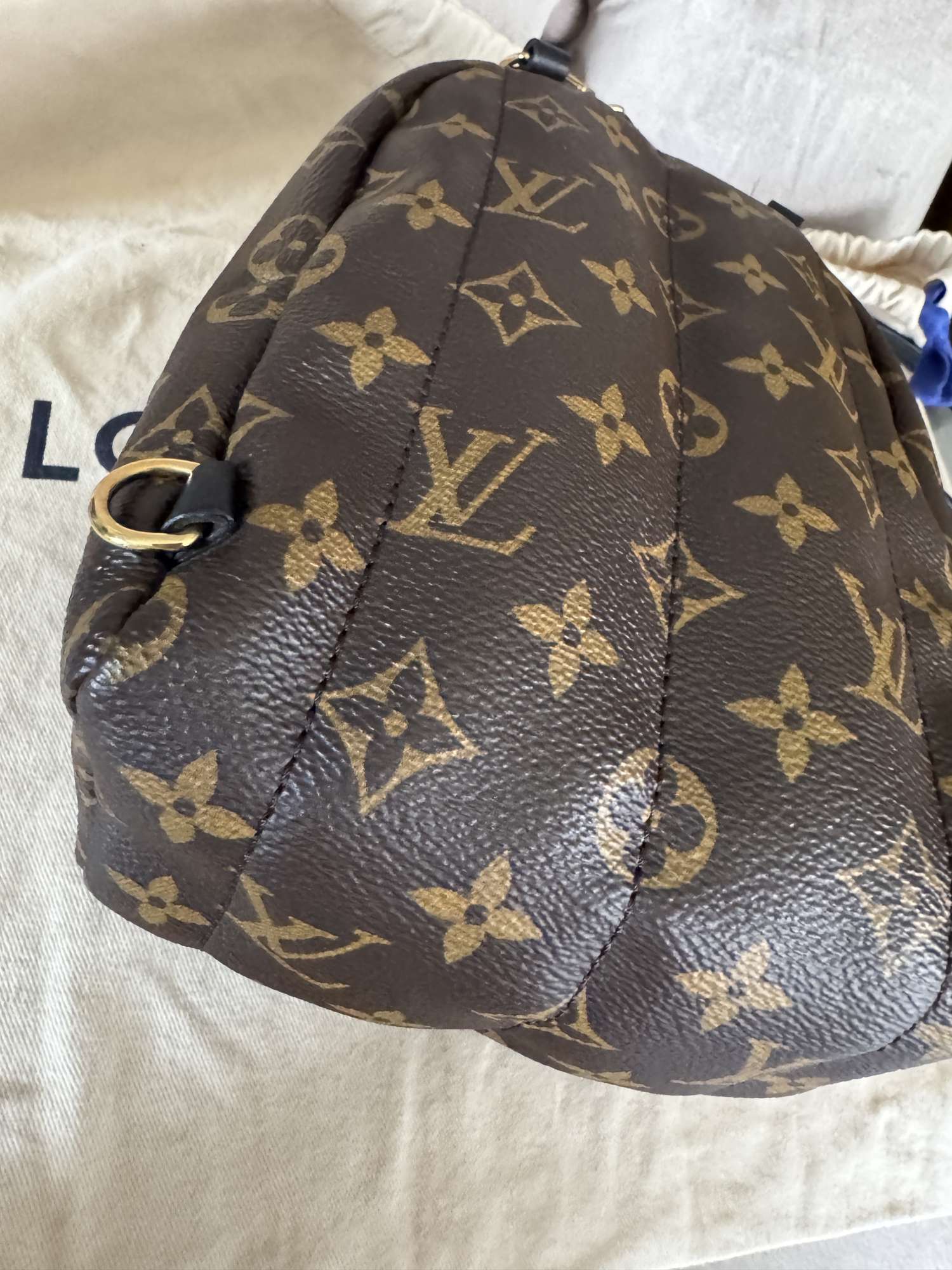 Louis Vuitton palmsprings mini