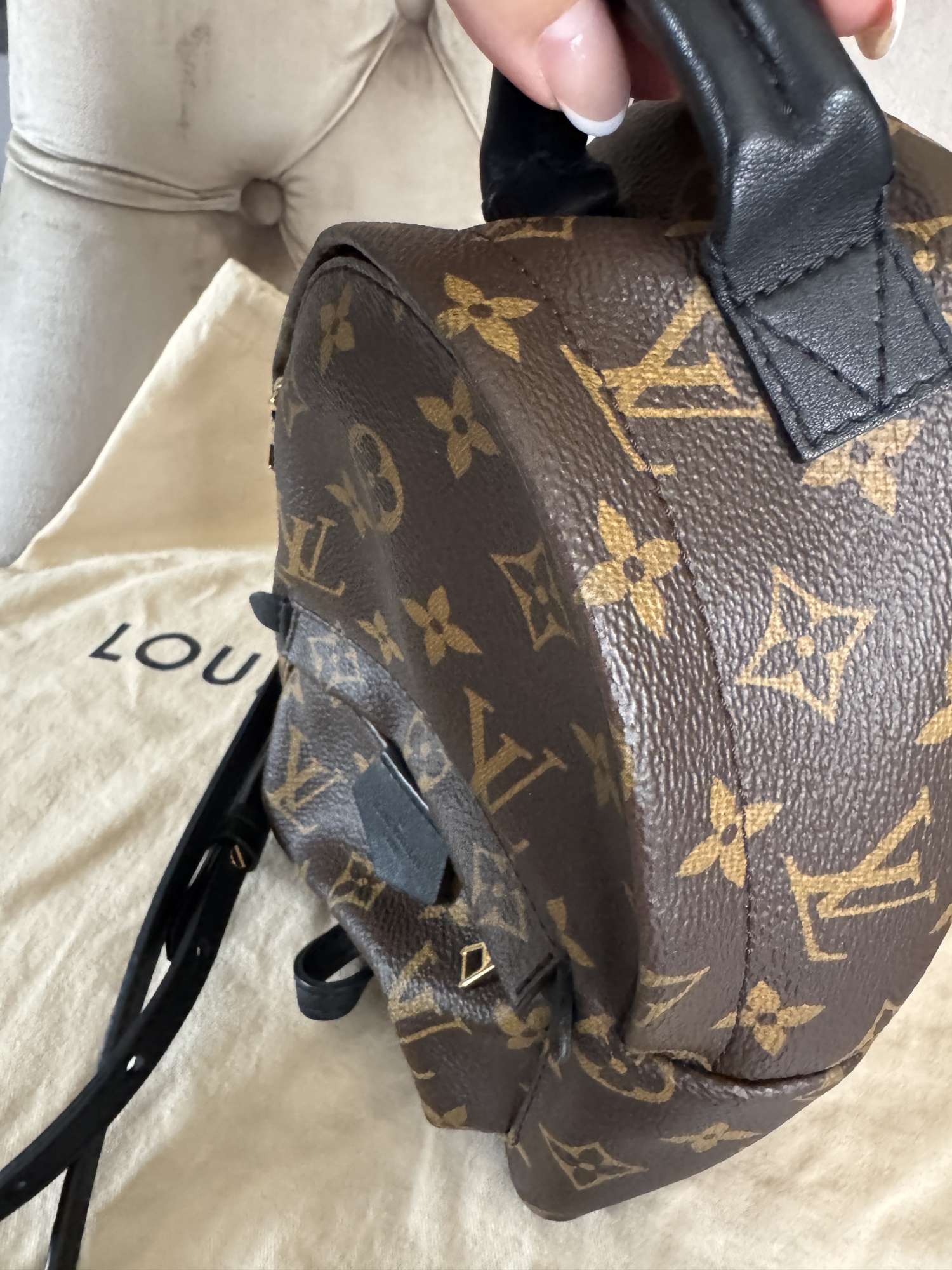 Louis Vuitton palmsprings mini