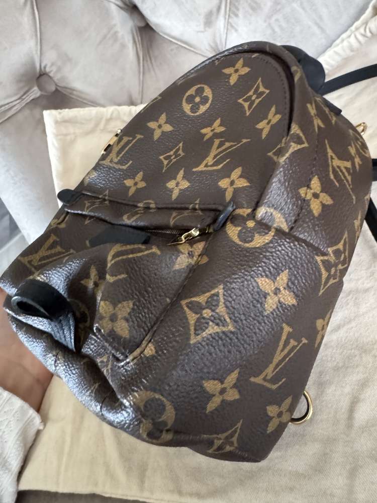 Louis Vuitton palmsprings mini