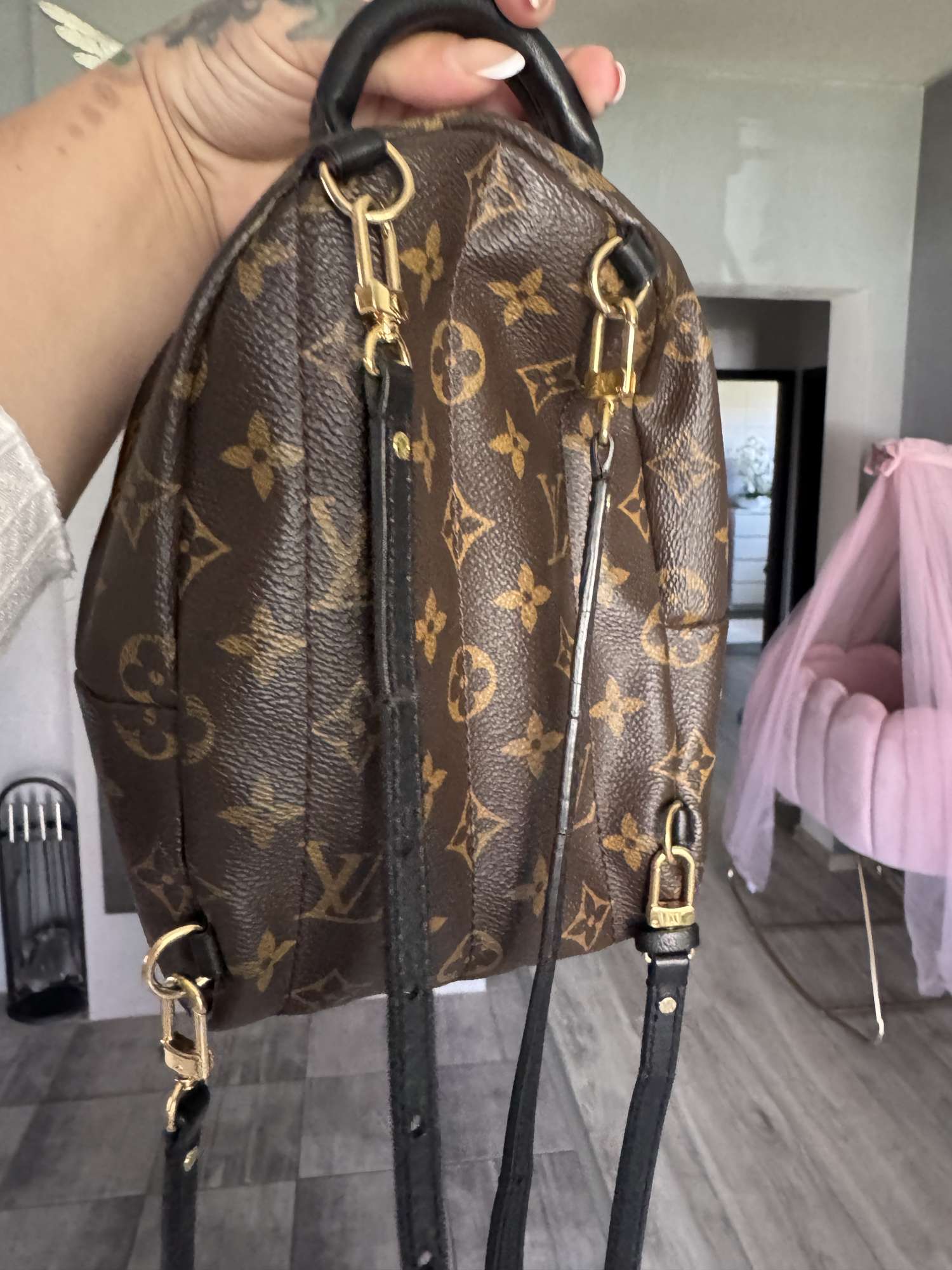 Louis Vuitton Palm springs mini