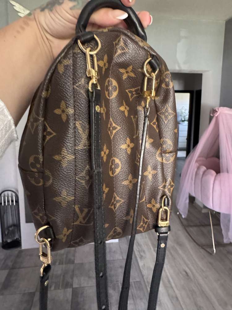Louis Vuitton Palm springs mini