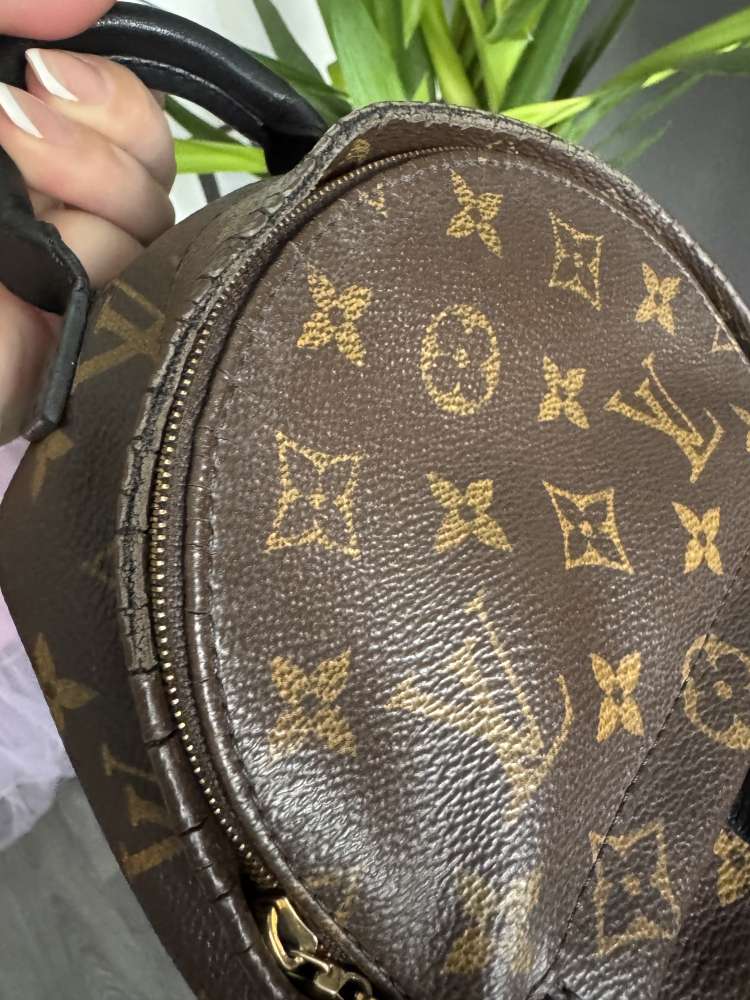 Louis Vuitton Palm springs mini