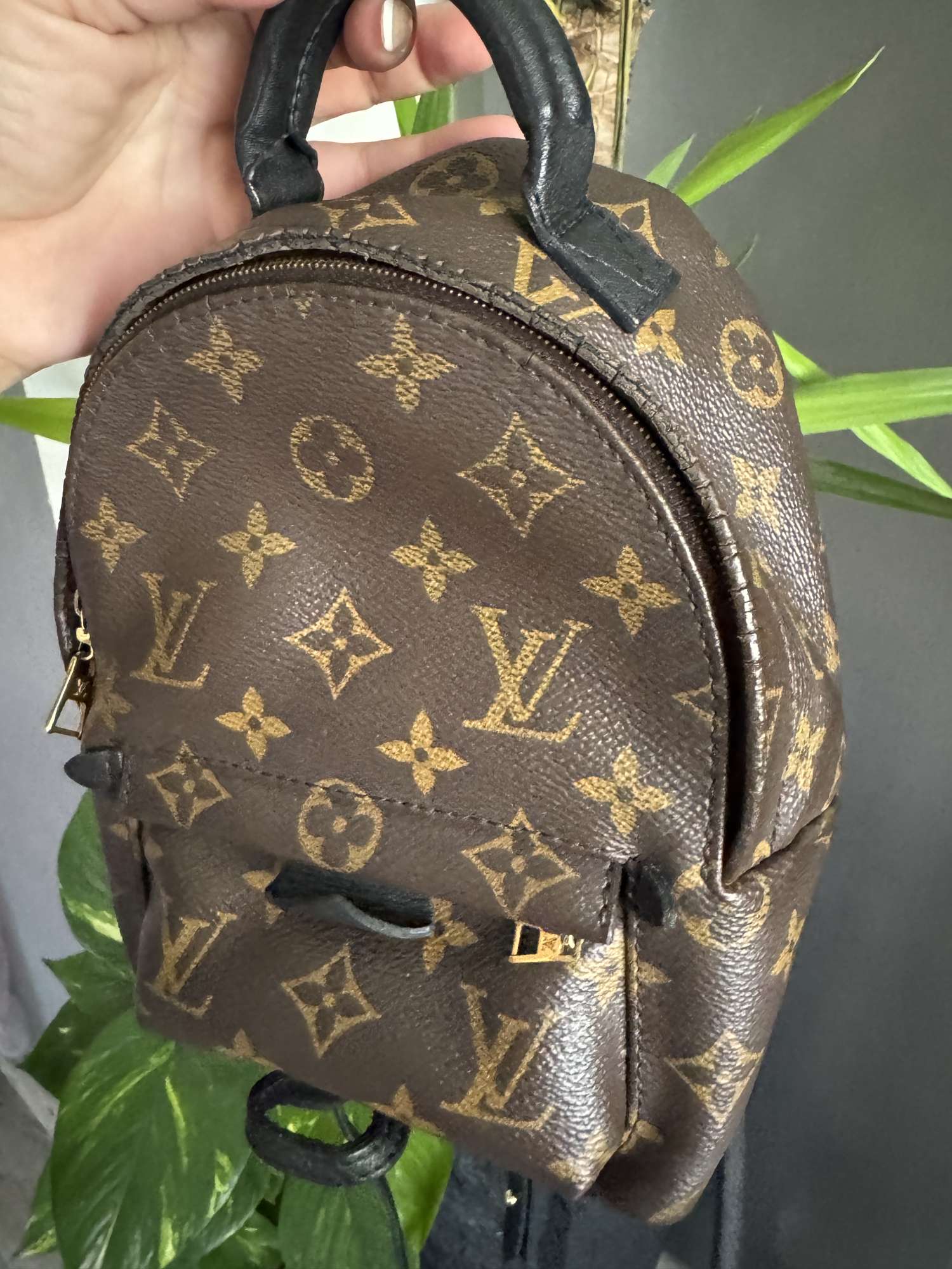 Louis Vuitton Palm springs mini
