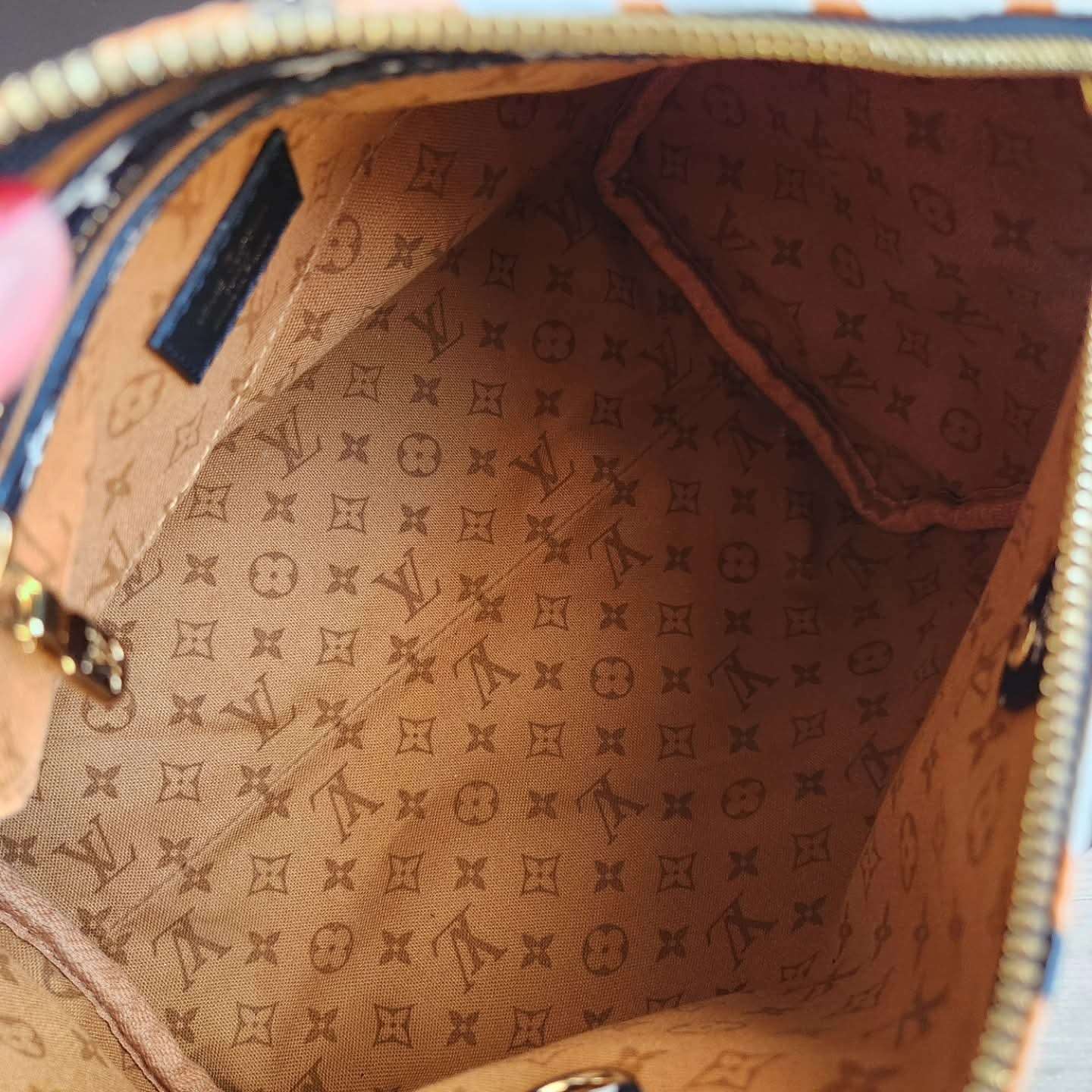 Louis Vuitton Speedy 25 Crafty