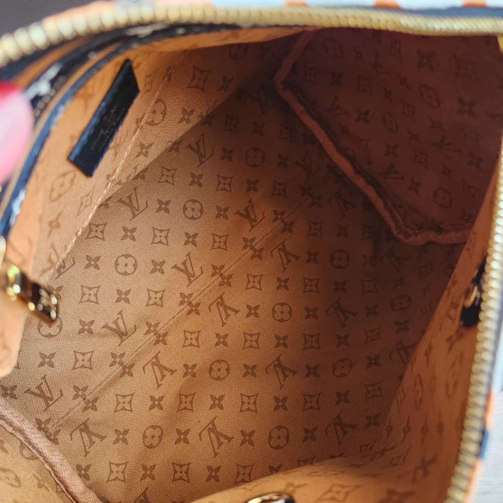 Louis Vuitton Speedy 25 Crafty