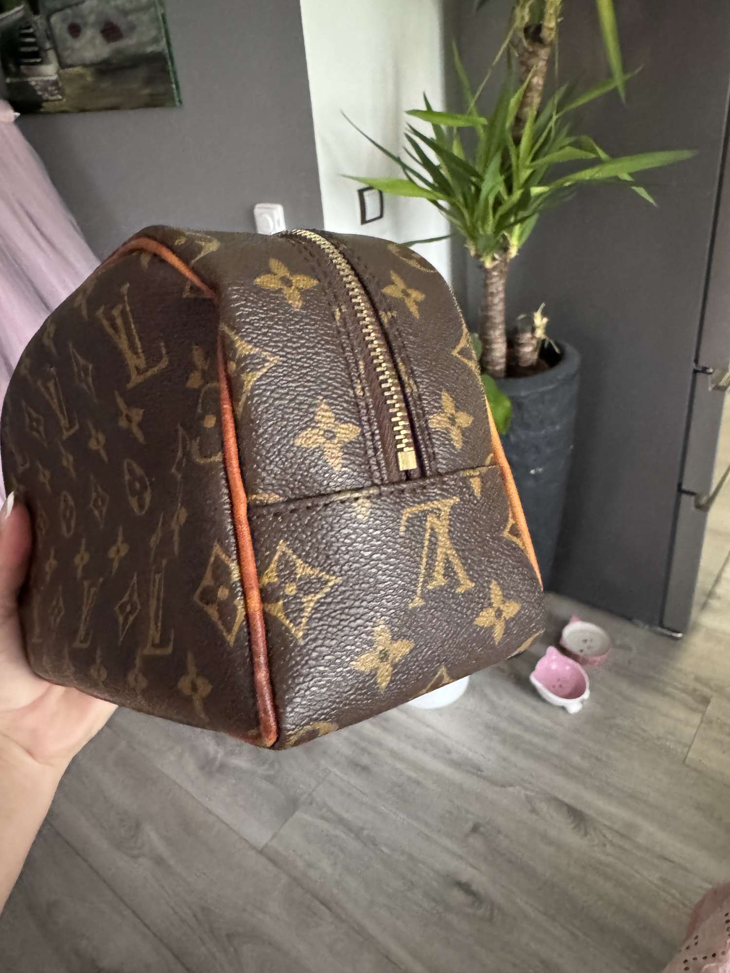 Louis Vuitton travel case