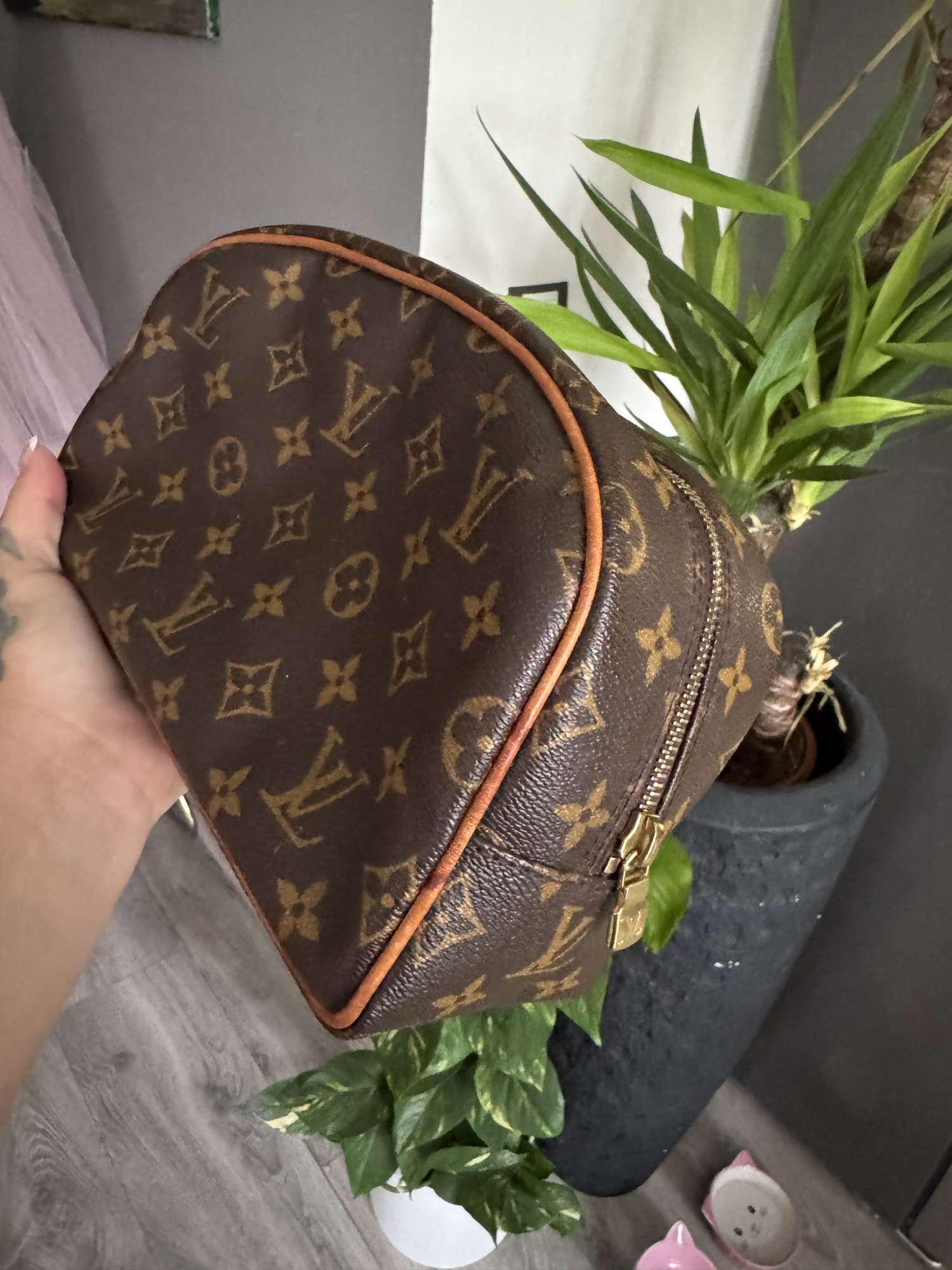 Louis Vuitton travel case
