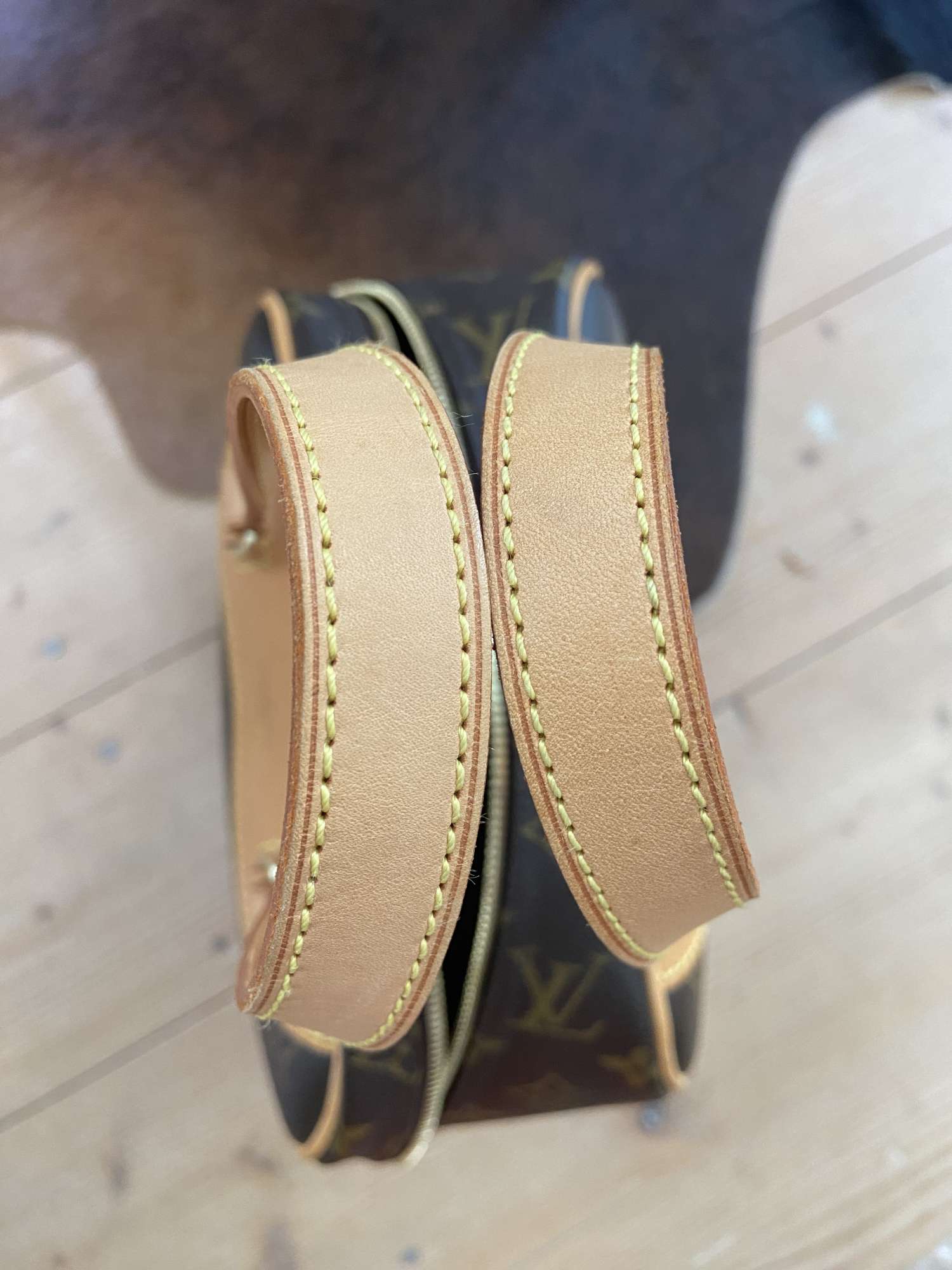 Louis Vuitton excursion