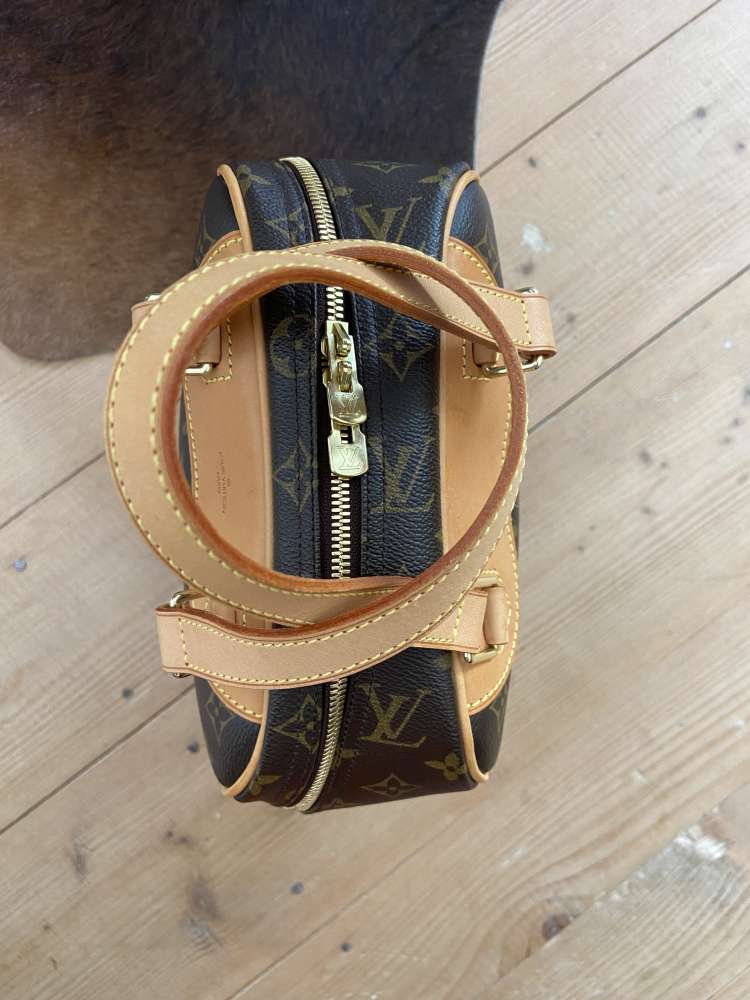 Louis Vuitton excursion