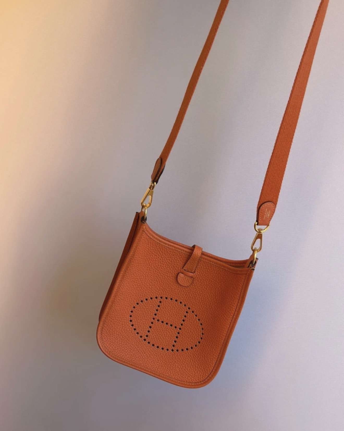 Hermes evelyne 16