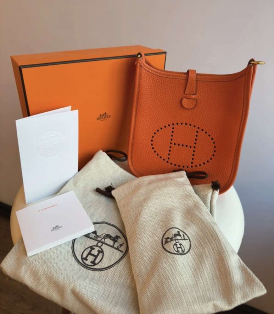 Hermes evelyne 16