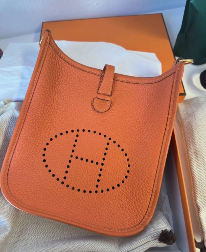 Hermes evelyne 16